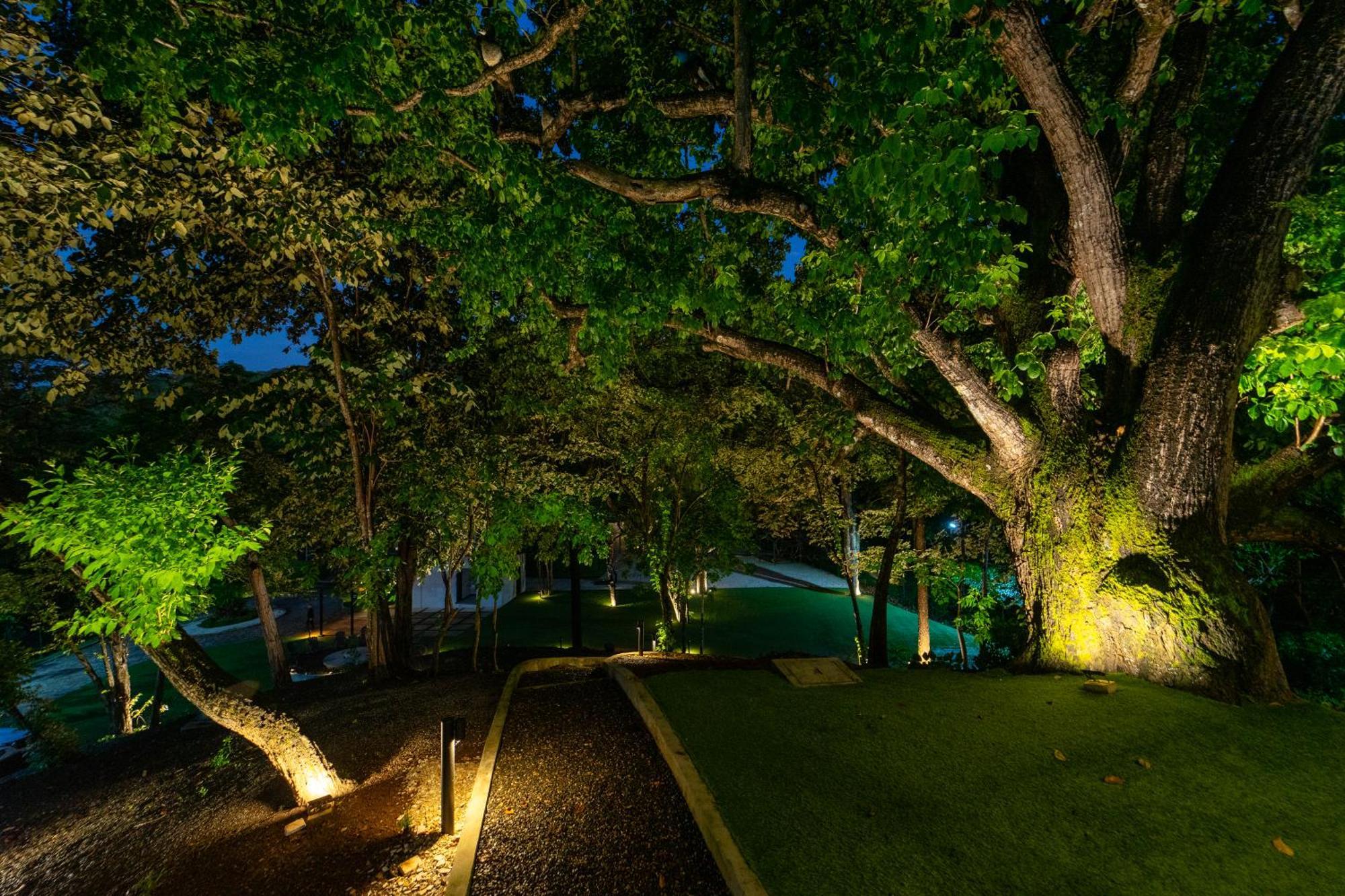 Epic Tamarindo Boutique Hotel Villarreal Exteriér fotografie